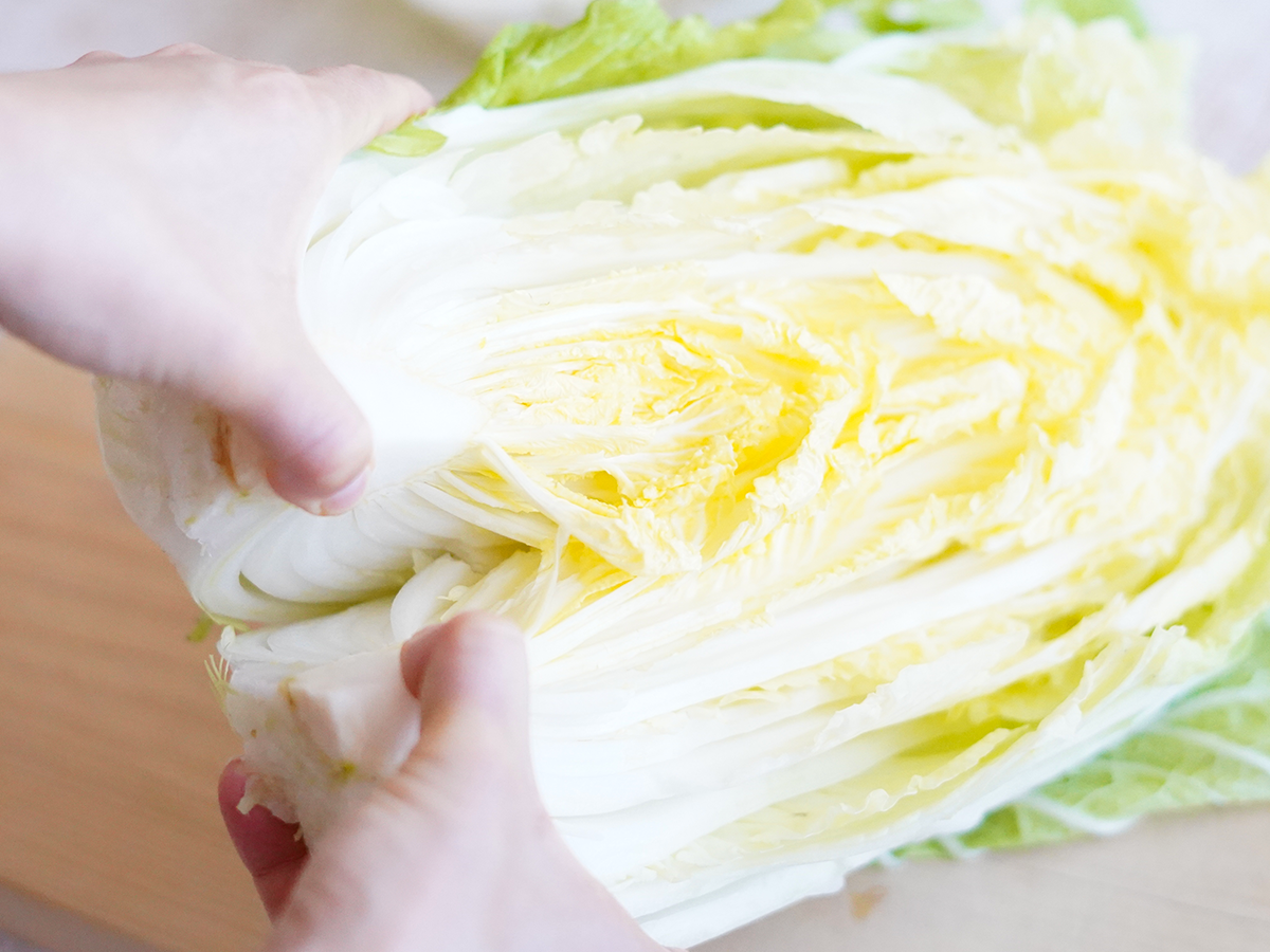 白菜を丸ごと切る方法。手で割く・剥く方法も簡単でおすすめ - Fily〔フィリー〕