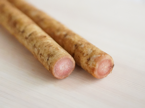 中が赤・ピンクになっているごぼう