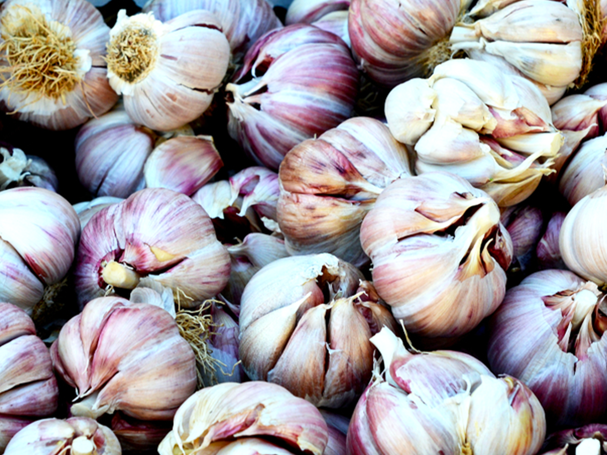 鳥の水にニンニクが入っているのは何ですか?