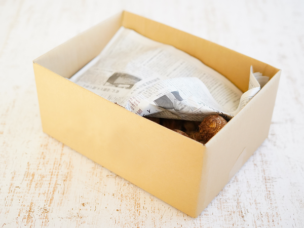 里芋をダンボールに入れ新聞紙を被せて常温保存