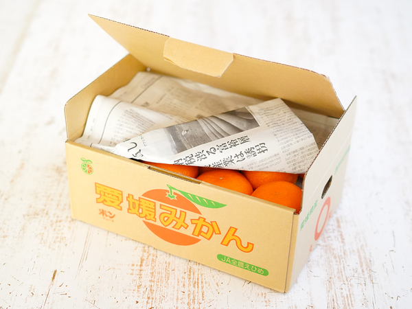 新聞紙を敷いたダンボールにみかんを保存する