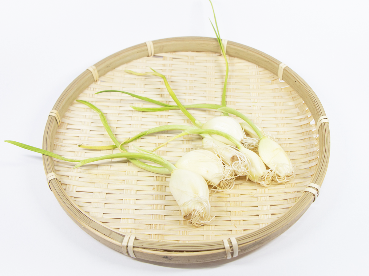 徳之島産【島ニンニク】：品種【奄美ユタカ】：R3年産，M,L(玉