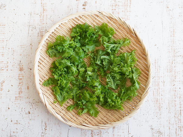 わさび菜の天日干し