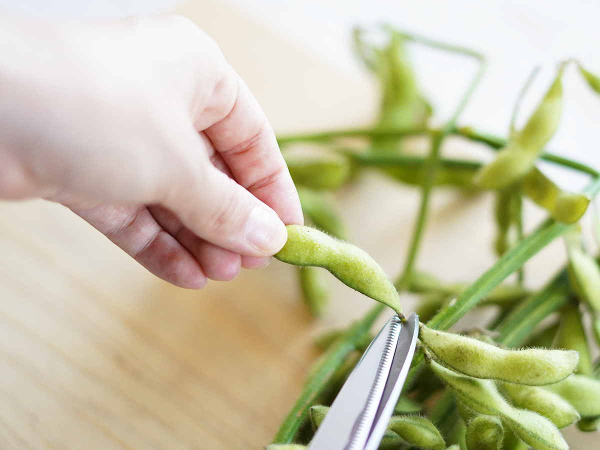 枝豆の茹で方を3通り紹介｜古くても一工夫で美味しく食べられます！ - Fily〔フィリー〕