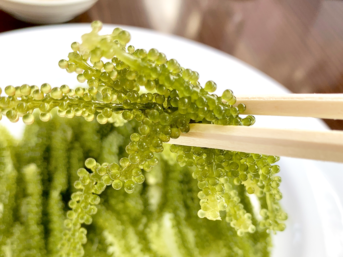 海ぶどうに合う人気のタレは 定番から変わり種まで紹介 Fily フィリー