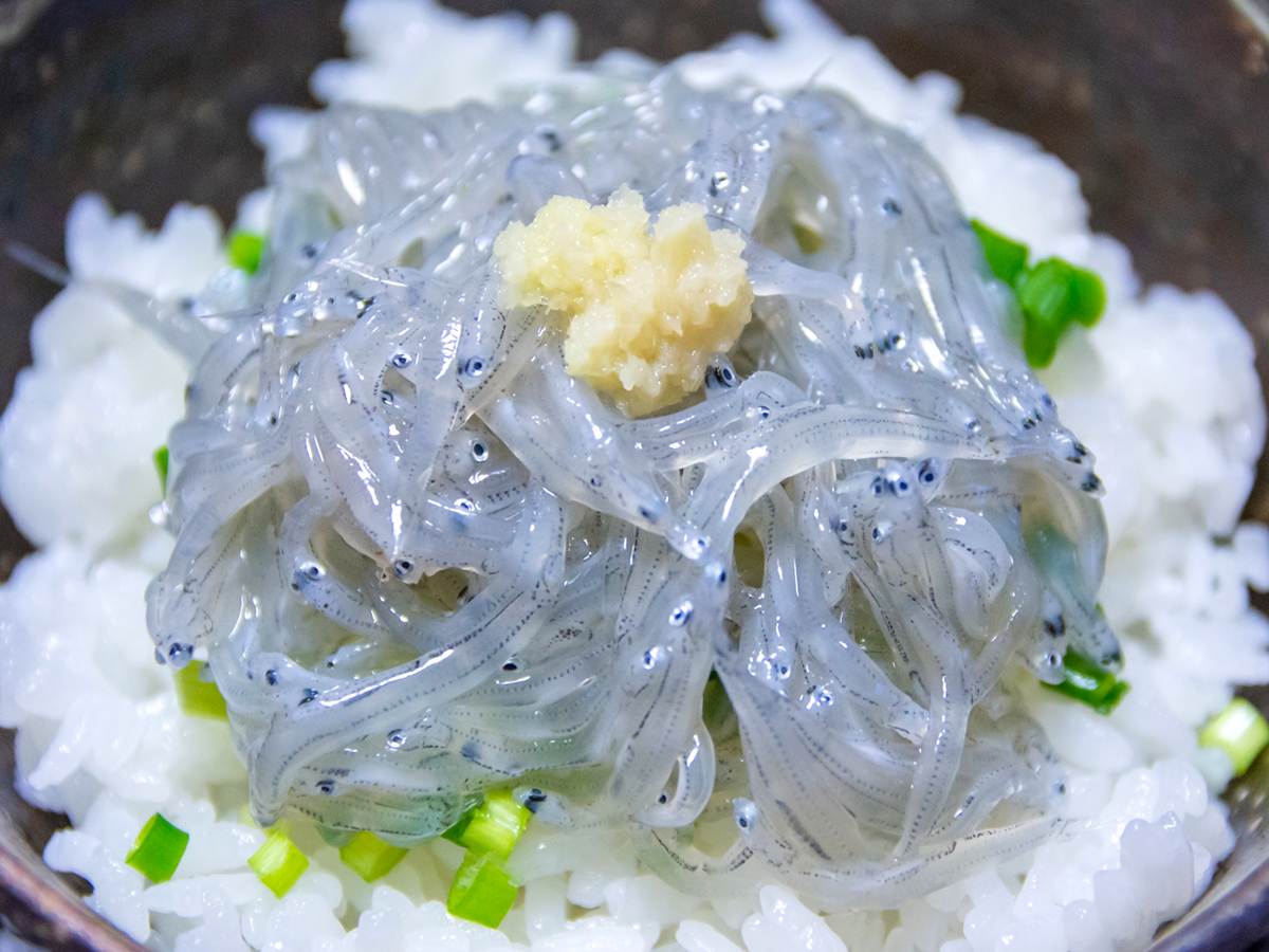 生しらすの食べ方。おすすめのタレは?加熱方法は? - Fily〔フィリー〕