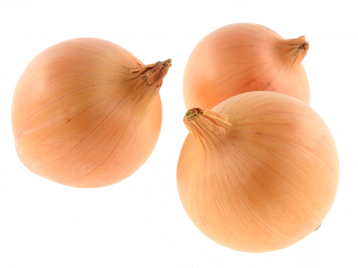 玉ねぎは芽が出ても食べられる 毒がある 取り方は Fily フィリー