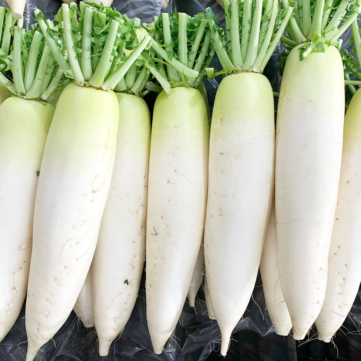 大根は上下どっちから使う？煮物やおでんなど料理によって違う？ - Fily〔フィリー〕