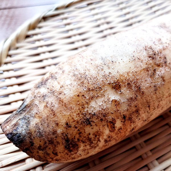 ヤーコンの鉄分の含有量は多い？少ない？他の野菜と比較して解説