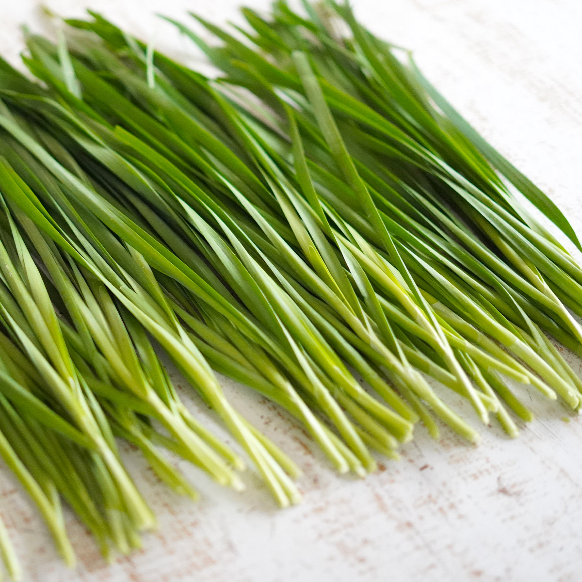 ニラの茎の根元はどこまで食べられる？切る場合は何センチ？ - Fily〔フィリー〕