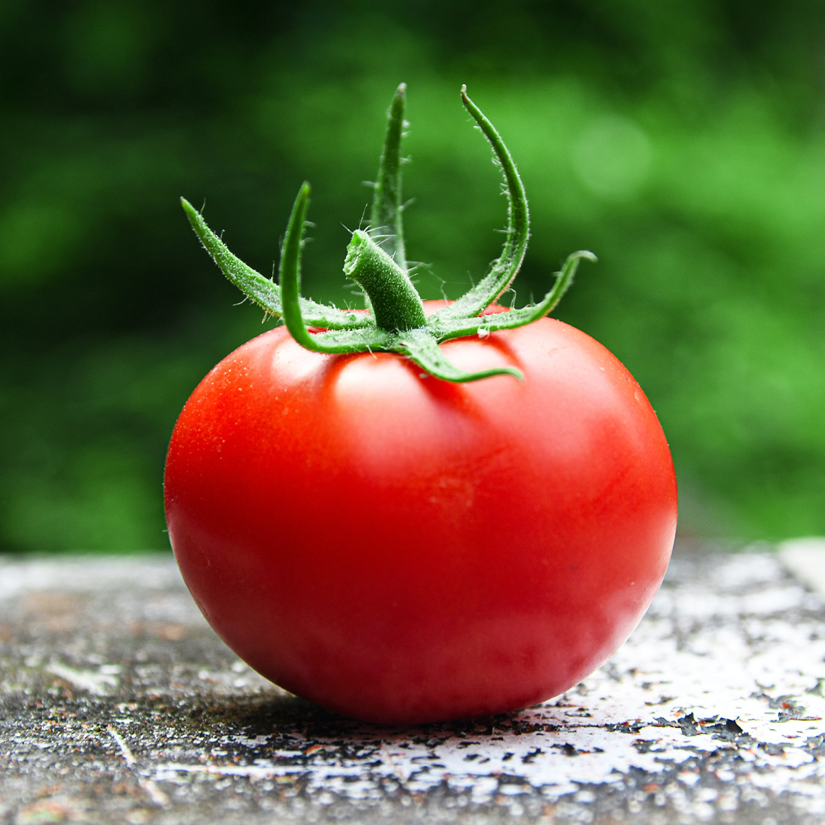 トマトのお尻 下の方 が黒いのは腐ってる 食べて大丈夫 対処法は Fily フィリー