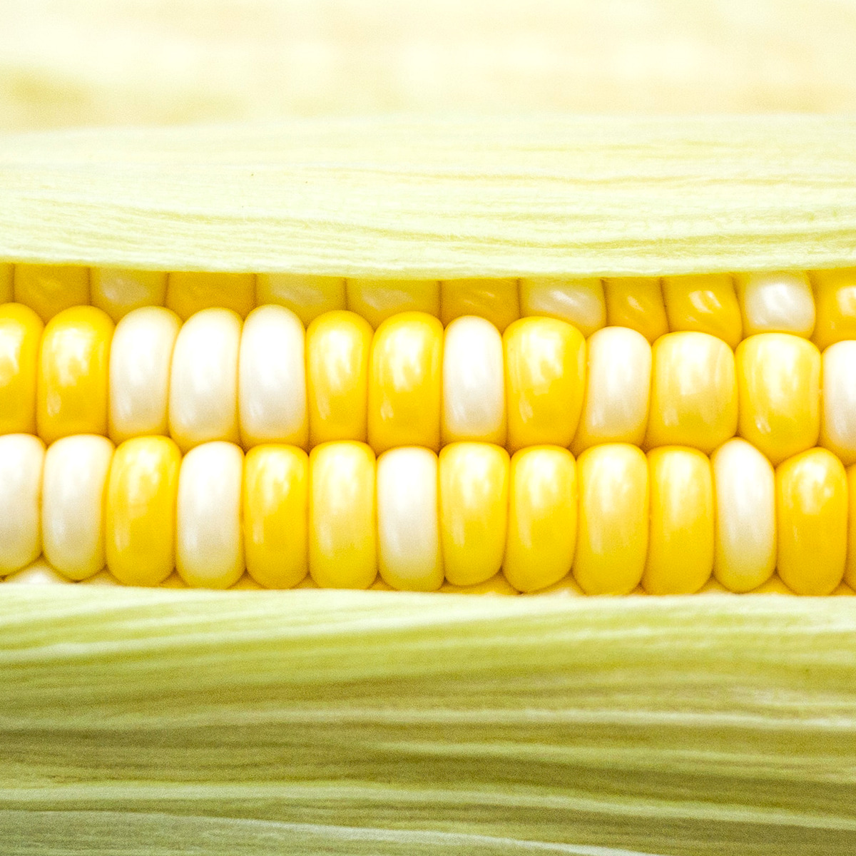 とうもろこしはダイエット向き カロリー 糖質は 効果的な食べ方と注意点は Fily フィリー