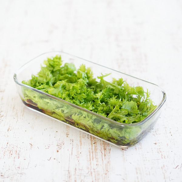 わさび菜の保存方法と期間。常温・冷蔵・冷凍で長持ちするのは？
