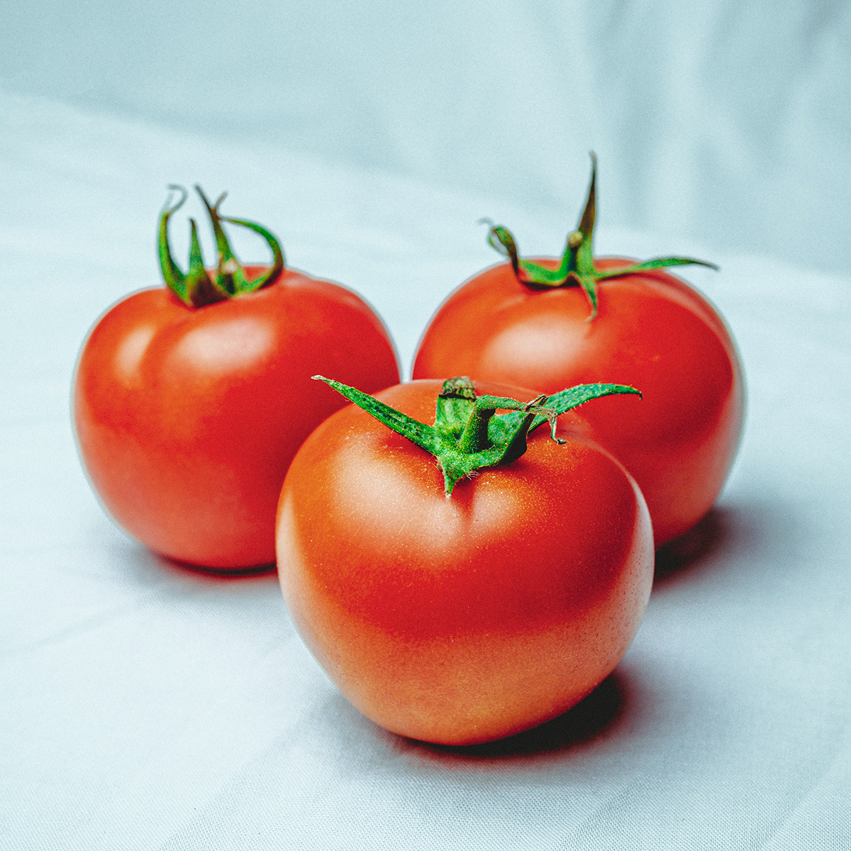 トマトにカビ 食べてok 原因と対処法 白黒緑の違いを解説 Fily フィリー