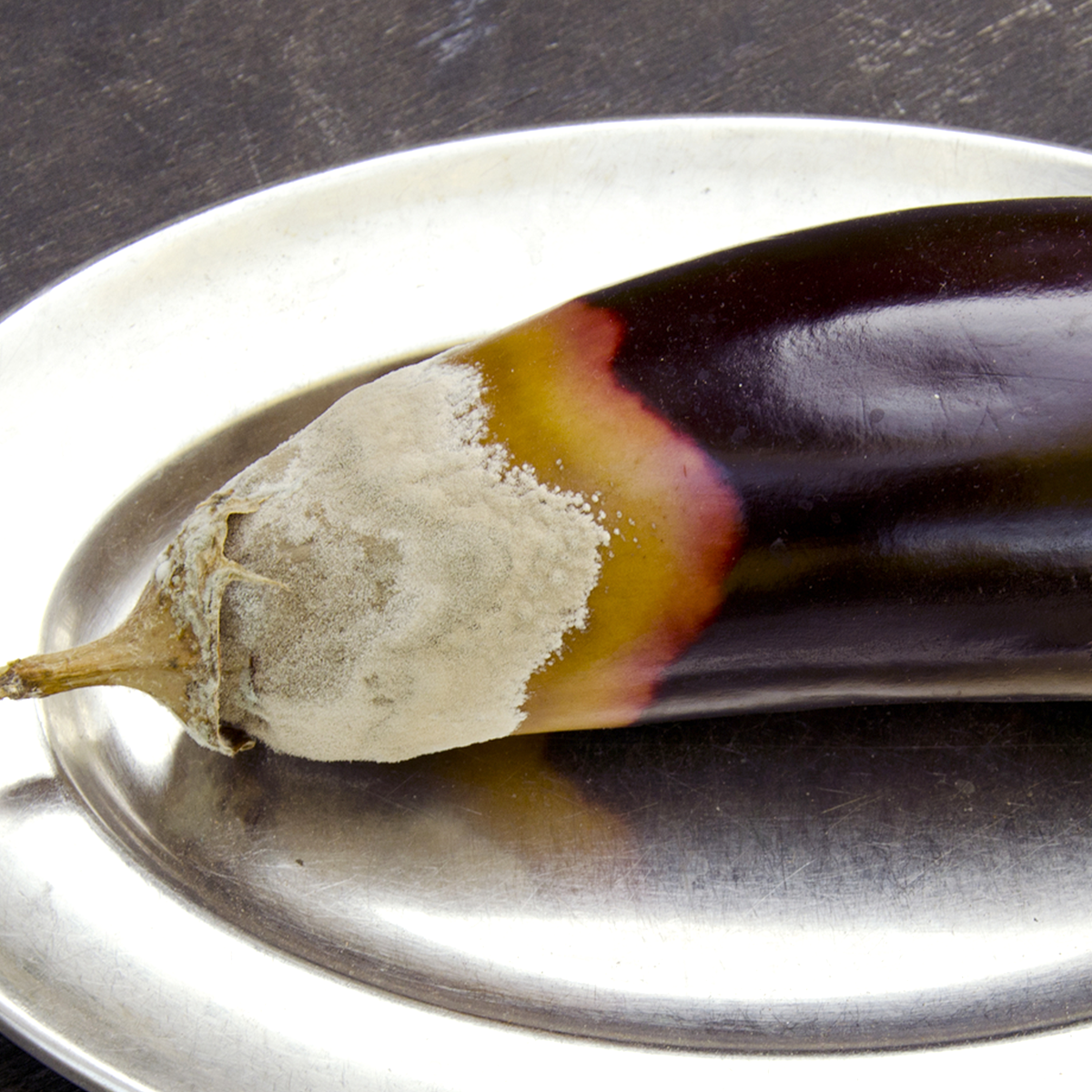 なすのヘタに白いカビ...食べられる？原因と対処法を解説 - Fily