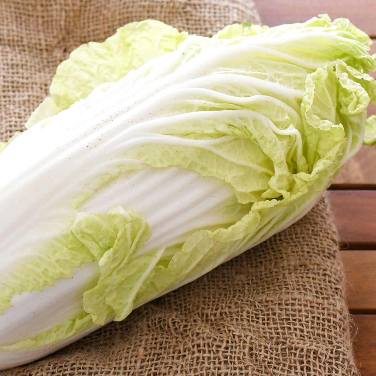 臭い白菜は食べられる 臭いの種類別の原因と対処法を解説 Fily フィリー 臭い白菜は食べられる 臭いの種類別の原因と対処法を解説 Fily フィリー