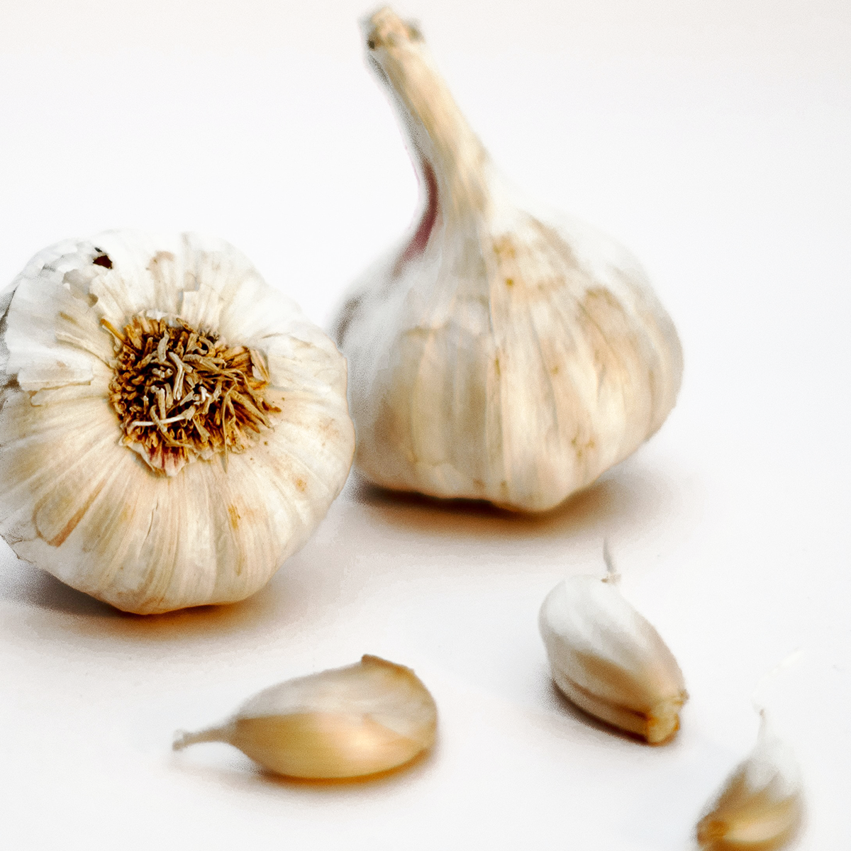 ニンニクはカビ生えても食べてok 白黒青の色別に解説 Fily フィリー