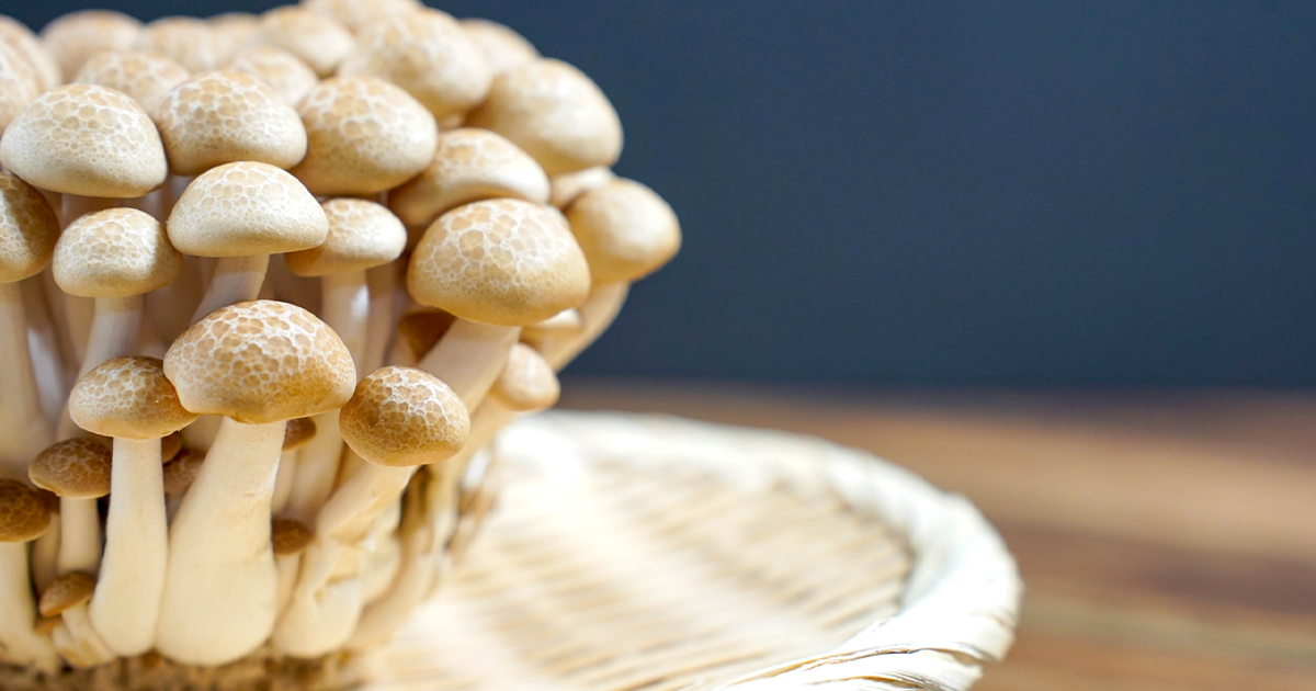 しめじに白いふわふわ...白カビ?食べられる?原因と対処法は? - Fily