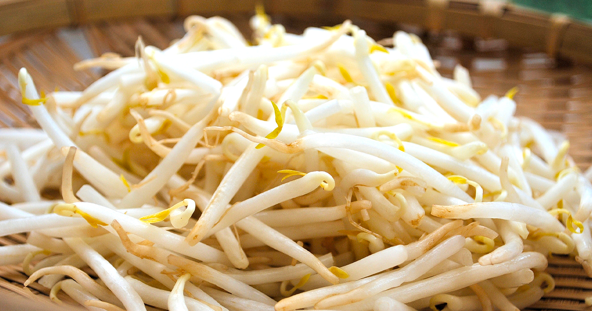 もやしを茹でたら臭い...食べられる？原因と調理法を解説 - Fily
