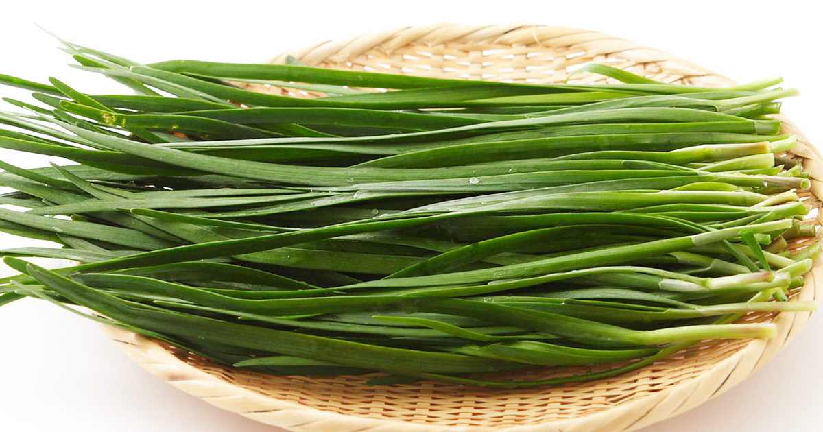 ニラ 洗う – ニラ なぜ洗う _ 【50度洗いと氷水】葉物野菜をシャキっとさせる方法 – NXFJO