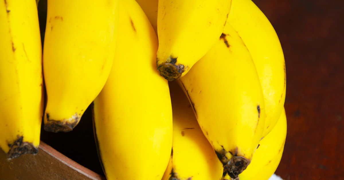 バナナのビタミンC含有量は多い？少ない？他の果物と比較して解説 Fily